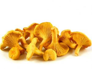 Spôsoby boja proti horkosti v liškách