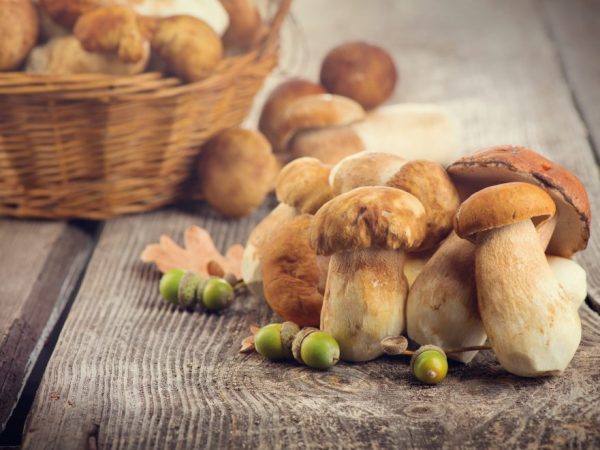 Hubové oblasti Rostovského regiónu