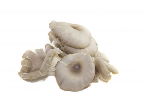Modré nohy majú veľké zloženie vitamínov
