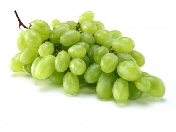 Bobule obsahujú vitamíny