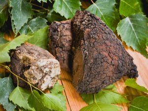Huba chaga na rakovinu