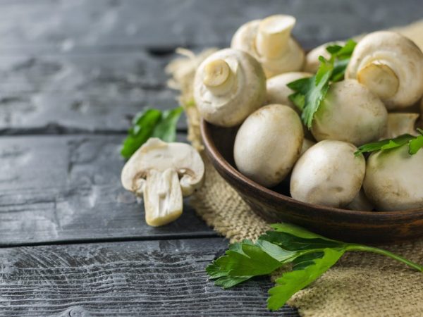 Množstvo vitamínov závisí od druhu huby