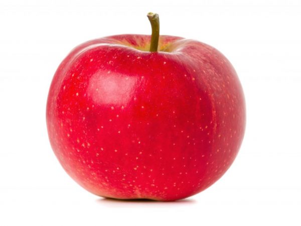 Strihanie stromu pomôže udržať dobrú úrodu.