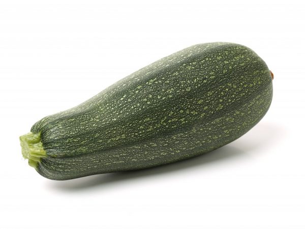 Pestovanie cukety Skvorushka